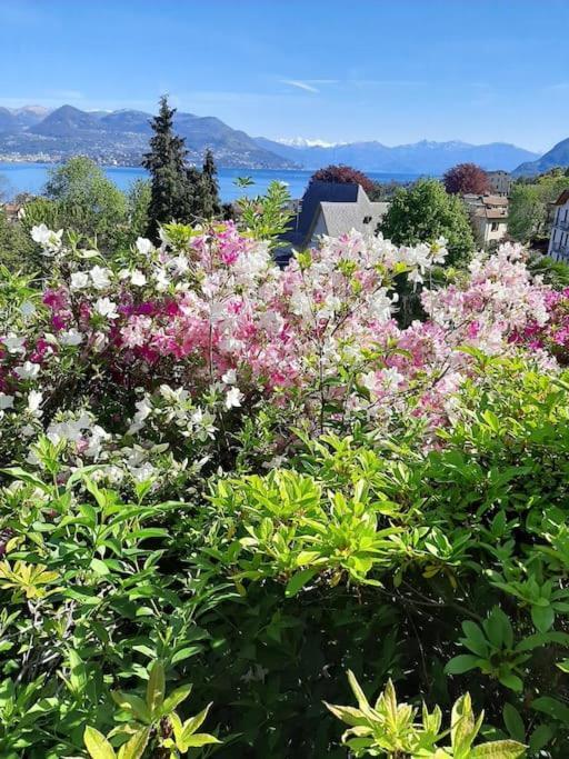 La Finestra Sul Lago - In Villa Con Vista E Posto Auto Coperto Stresa Luaran gambar